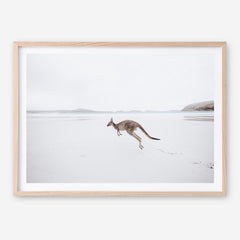 Shop Beach Kangaroo Photo Art Print a coastal themed photography wall art print from The Print Emporium wall artwork collection - Buy Australian made fine art poster and framed prints for the home and your interior decor, TPE-1006-AP
