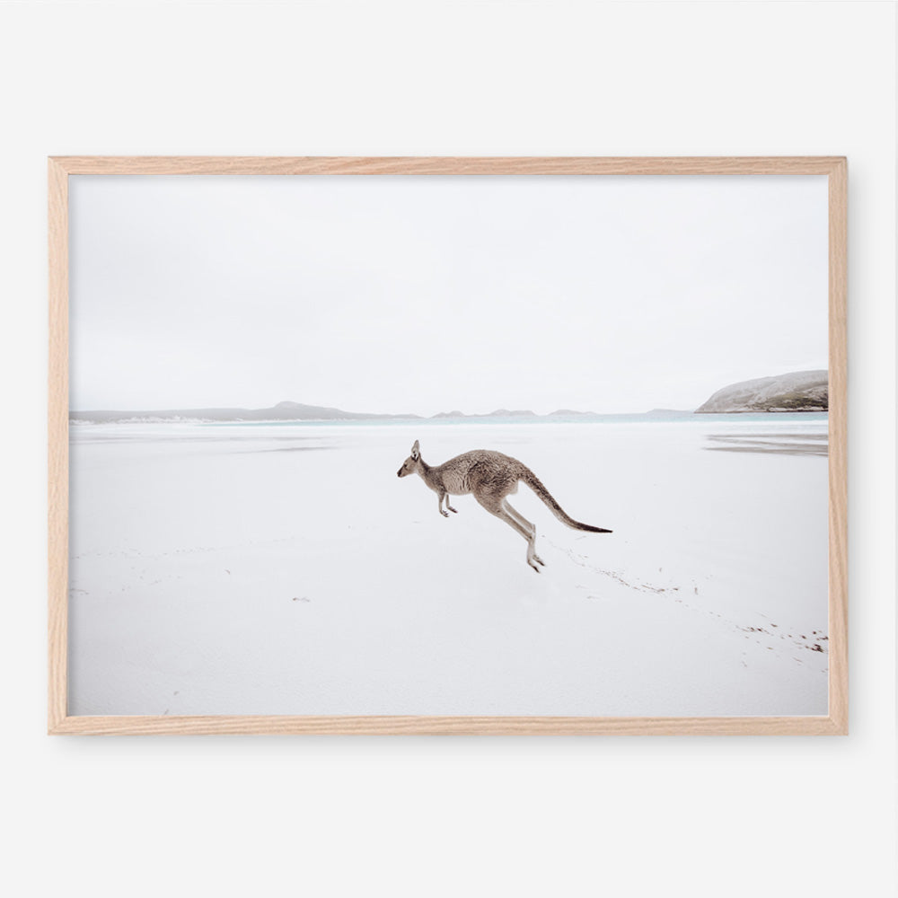 Shop Beach Kangaroo Photo Art Print a coastal themed photography wall art print from The Print Emporium wall artwork collection - Buy Australian made fine art poster and framed prints for the home and your interior decor, TPE-1006-AP