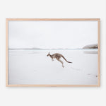 Shop Beach Kangaroo Photo Art Print a coastal themed photography wall art print from The Print Emporium wall artwork collection - Buy Australian made fine art poster and framed prints for the home and your interior decor, TPE-1006-AP
