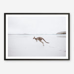 Shop Beach Kangaroo Photo Art Print a coastal themed photography wall art print from The Print Emporium wall artwork collection - Buy Australian made fine art poster and framed prints for the home and your interior decor, TPE-1006-AP