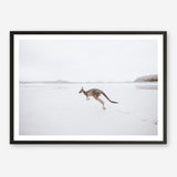 Shop Beach Kangaroo Photo Art Print a coastal themed photography wall art print from The Print Emporium wall artwork collection - Buy Australian made fine art poster and framed prints for the home and your interior decor, TPE-1006-AP