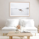 Shop Beach Kangaroo Photo Art Print a coastal themed photography wall art print from The Print Emporium wall artwork collection - Buy Australian made fine art poster and framed prints for the home and your interior decor, TPE-1006-AP