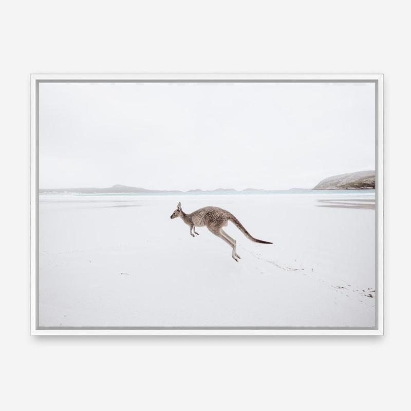 Shop Beach Kangaroo Photo Canvas Print a coastal themed photography framed stretched canvas print from The Print Emporium wall artwork collection - Buy Australian made prints for the home and your interior decor space, TPE-1006-CA-35X46-NF