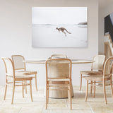 Shop Beach Kangaroo Photo Canvas Print a coastal themed photography framed stretched canvas print from The Print Emporium wall artwork collection - Buy Australian made prints for the home and your interior decor space, TPE-1006-CA-35X46-NF