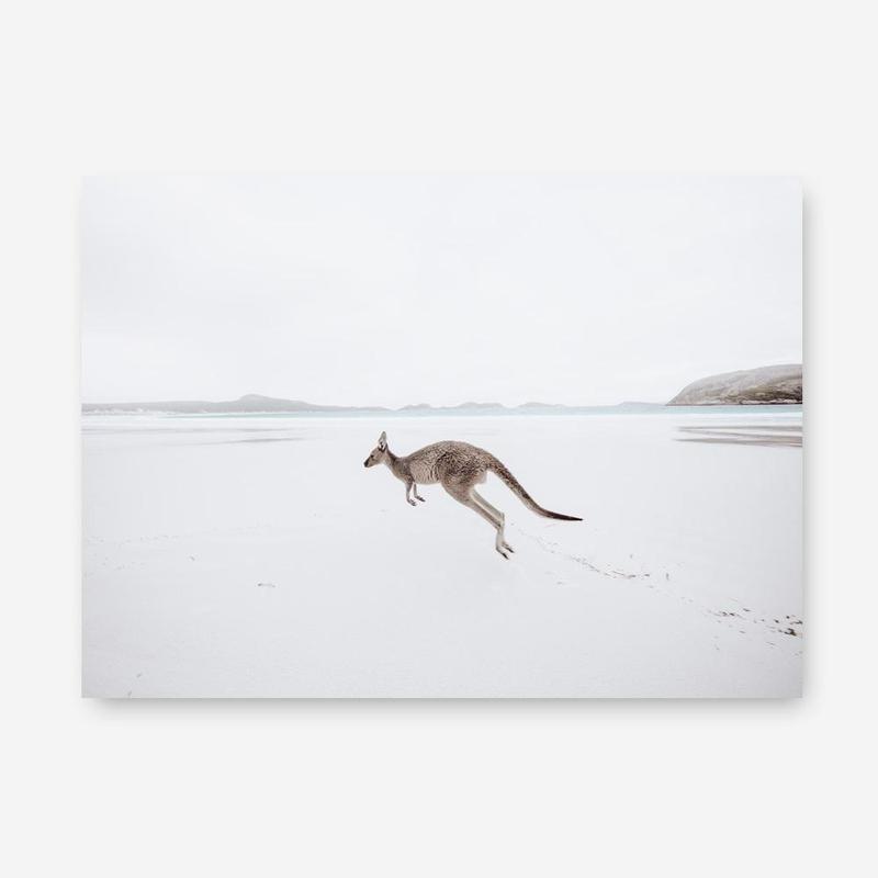Shop Beach Kangaroo Photo Canvas Print a coastal themed photography framed stretched canvas print from The Print Emporium wall artwork collection - Buy Australian made prints for the home and your interior decor space, TPE-1006-CA-35X46-NF