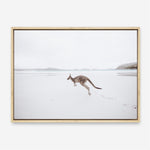 Shop Beach Kangaroo Photo Canvas Print a coastal themed photography framed stretched canvas print from The Print Emporium wall artwork collection - Buy Australian made prints for the home and your interior decor space, TPE-1006-CA-35X46-NF