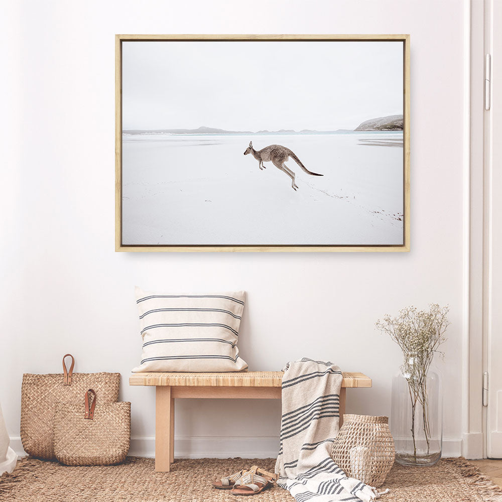 Shop Beach Kangaroo Photo Canvas Print a coastal themed photography framed stretched canvas print from The Print Emporium wall artwork collection - Buy Australian made prints for the home and your interior decor space, TPE-1006-CA-35X46-NF