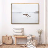 Shop Beach Kangaroo Photo Canvas Print a coastal themed photography framed stretched canvas print from The Print Emporium wall artwork collection - Buy Australian made prints for the home and your interior decor space, TPE-1006-CA-35X46-NF