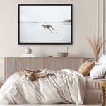 Shop Beach Kangaroo Photo Canvas Print a coastal themed photography framed stretched canvas print from The Print Emporium wall artwork collection - Buy Australian made prints for the home and your interior decor space, TPE-1006-CA-35X46-NF