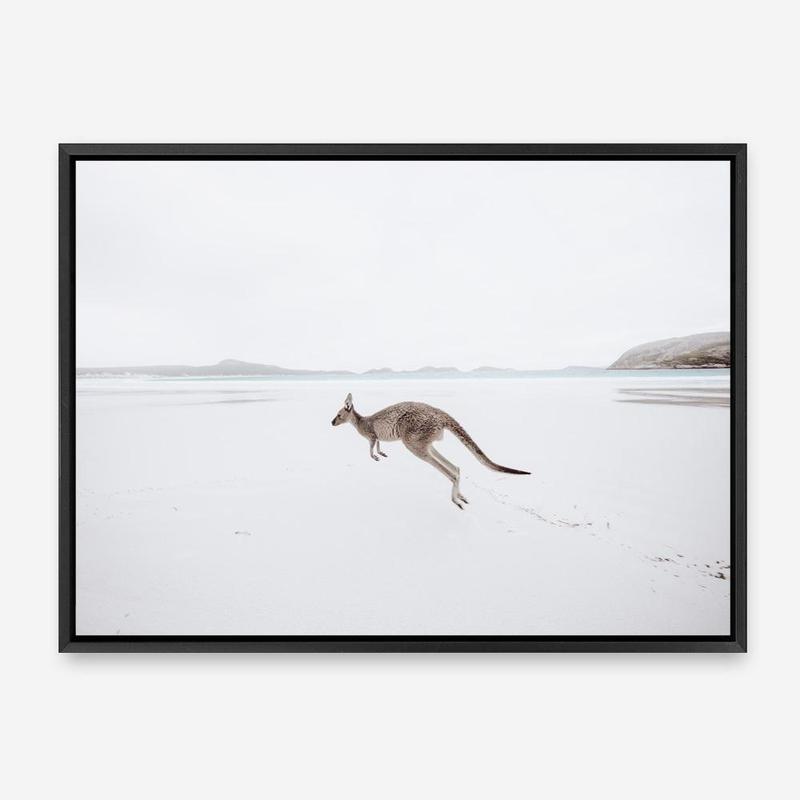 Shop Beach Kangaroo Photo Canvas Print a coastal themed photography framed stretched canvas print from The Print Emporium wall artwork collection - Buy Australian made prints for the home and your interior decor space, TPE-1006-CA-35X46-NF
