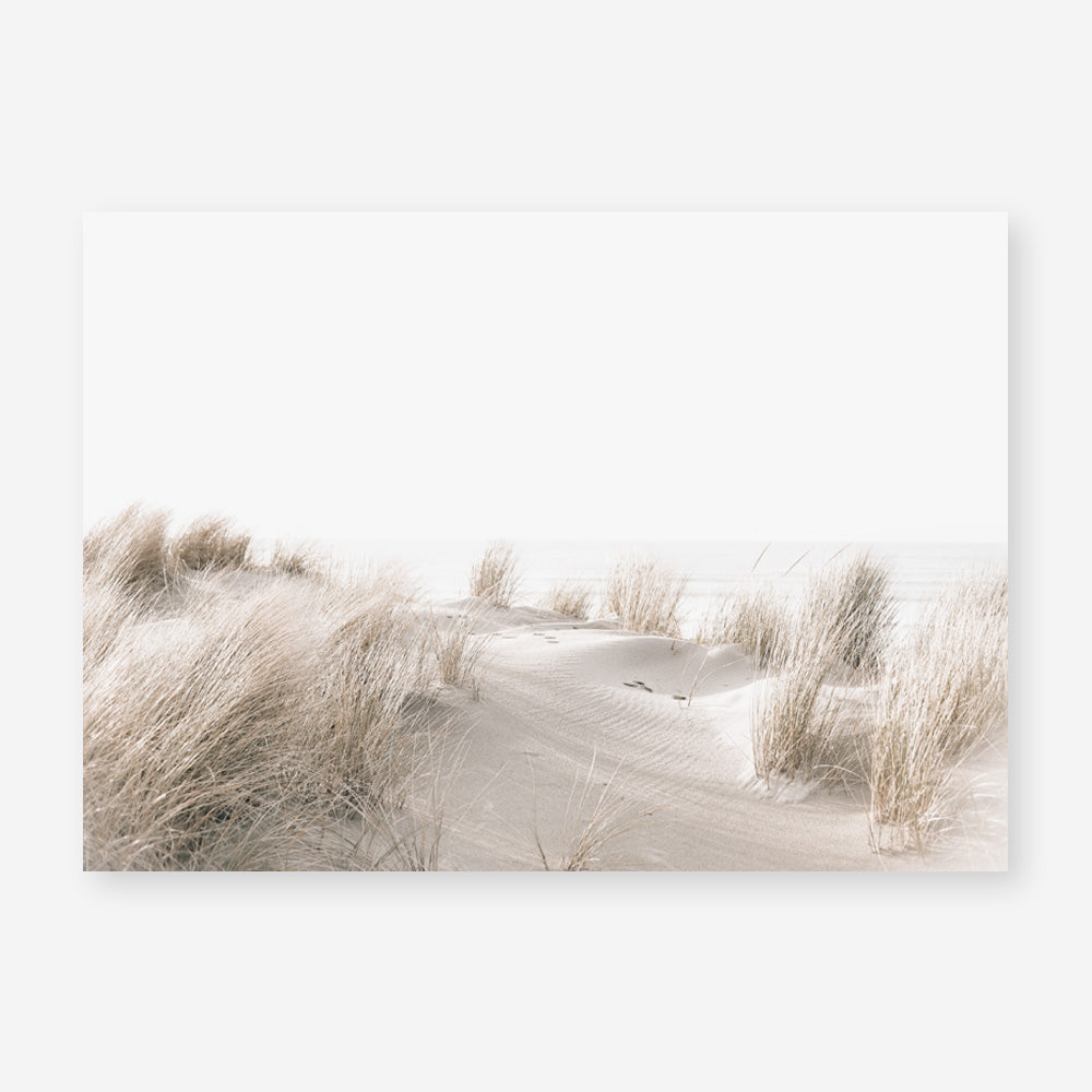 Shop Beach Sand Dunes II Photo Art Print a coastal themed photography wall art print from The Print Emporium wall artwork collection - Buy Australian made fine art poster and framed prints for the home and your interior decor, TPE-1056-AP