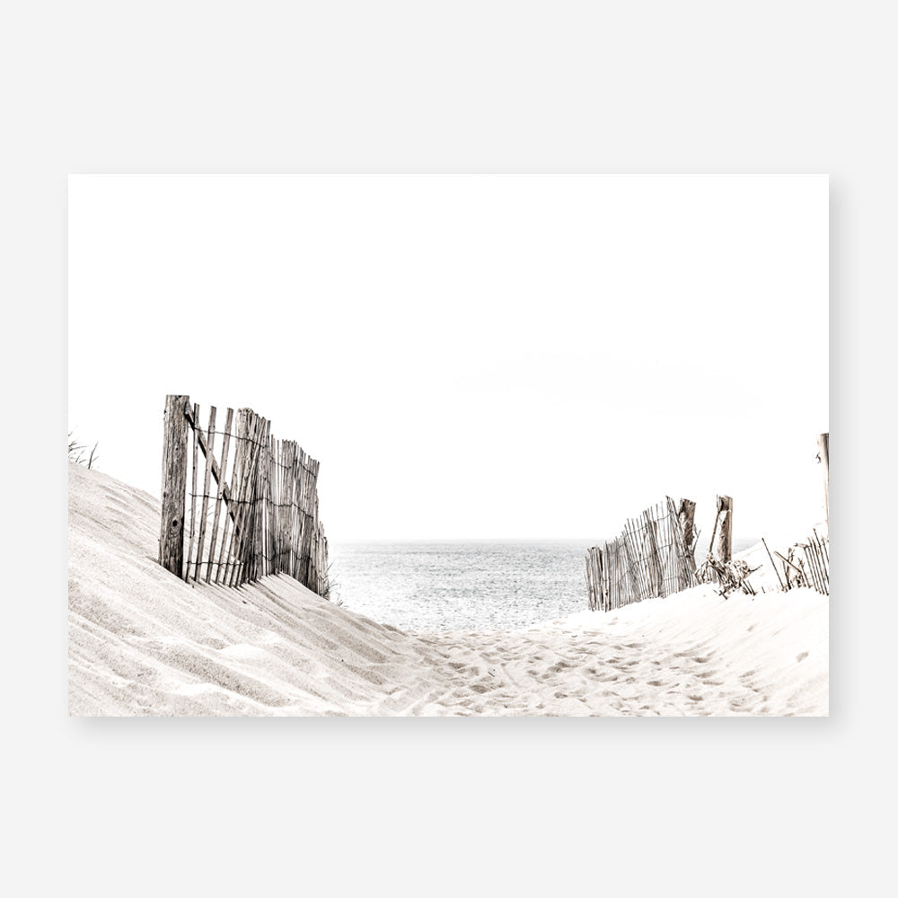 Shop Beach Sand Dunes Photo Art Print a coastal themed photography wall art print from The Print Emporium wall artwork collection - Buy Australian made fine art poster and framed prints for the home and your interior decor, TPE-806-AP