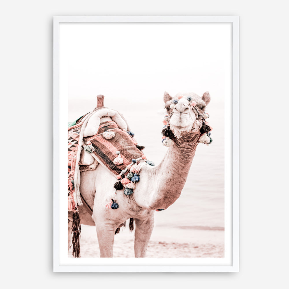Shop Bedouin Camel I Photo Art Print a Moroccan desert boho themed photography wall art print from The Print Emporium wall artwork collection - Buy Australian made fine art poster and framed prints for the home and your interior decor room, TPE-839-AP