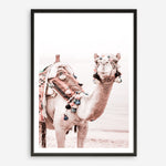 Shop Bedouin Camel I Photo Art Print a Moroccan desert boho themed photography wall art print from The Print Emporium wall artwork collection - Buy Australian made fine art poster and framed prints for the home and your interior decor room, TPE-839-AP