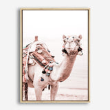 Shop Bedouin Camel I Photo Canvas Print a Moroccan desert boho themed photography framed stretched canvas print from The Print Emporium wall artwork collection - Buy Australian made prints for the home and your interior decor space, TPE-839-CA-35X46-NF