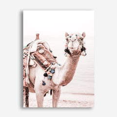 Shop Bedouin Camel I Photo Canvas Print a Moroccan desert boho themed photography framed stretched canvas print from The Print Emporium wall artwork collection - Buy Australian made prints for the home and your interior decor space, TPE-839-CA-35X46-NF