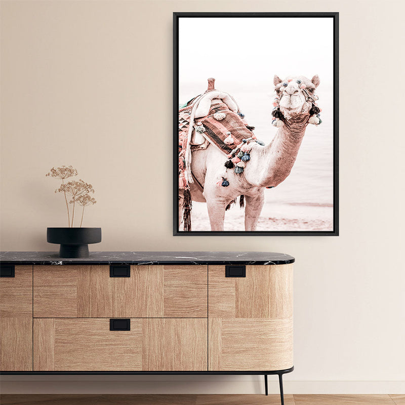 Shop Bedouin Camel I Photo Canvas Print a Moroccan desert boho themed photography framed stretched canvas print from The Print Emporium wall artwork collection - Buy Australian made prints for the home and your interior decor space, TPE-839-CA-35X46-NF
