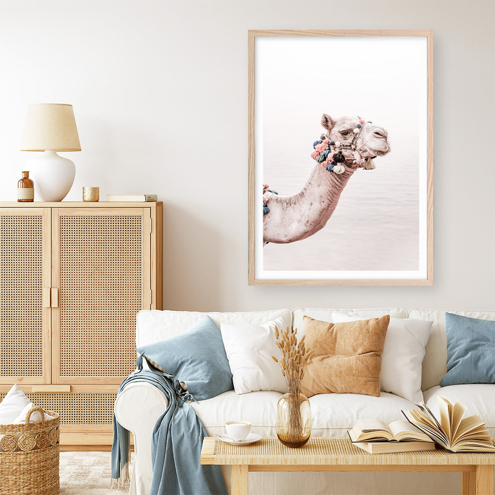 Shop Bedouin Camel II Photo Art Print a Moroccan desert boho themed photography wall art print from The Print Emporium wall artwork collection - Buy Australian made fine art poster and framed prints for the home and your interior decor room, TPE-840-AP