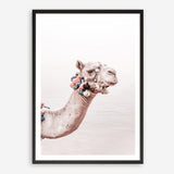 Shop Bedouin Camel II Photo Art Print a Moroccan desert boho themed photography wall art print from The Print Emporium wall artwork collection - Buy Australian made fine art poster and framed prints for the home and your interior decor room, TPE-840-AP