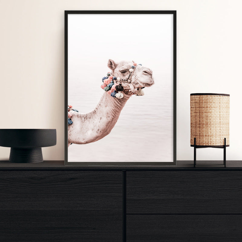 Shop Bedouin Camel II Photo Art Print a Moroccan desert boho themed photography wall art print from The Print Emporium wall artwork collection - Buy Australian made fine art poster and framed prints for the home and your interior decor room, TPE-840-AP