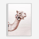 Shop Bedouin Camel II Photo Canvas Print a Moroccan desert boho themed photography framed stretched canvas print from The Print Emporium wall artwork collection - Buy Australian made prints for the home and your interior decor space, TPE-840-CA-35X46-NF