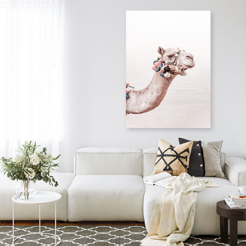 Shop Bedouin Camel II Photo Canvas Print a Moroccan desert boho themed photography framed stretched canvas print from The Print Emporium wall artwork collection - Buy Australian made prints for the home and your interior decor space, TPE-840-CA-35X46-NF