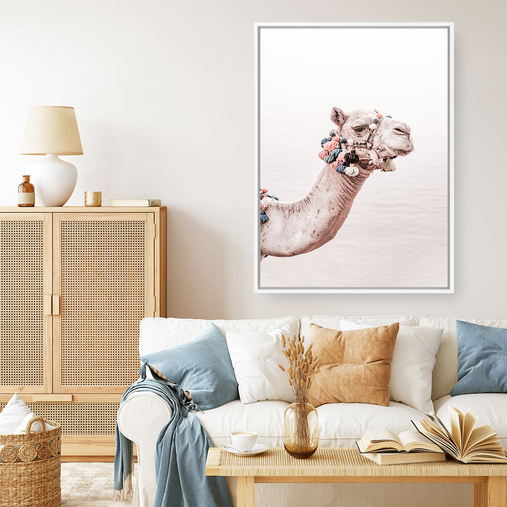 Shop Bedouin Camel II Photo Canvas Print a Moroccan desert boho themed photography framed stretched canvas print from The Print Emporium wall artwork collection - Buy Australian made prints for the home and your interior decor space, TPE-840-CA-35X46-NF
