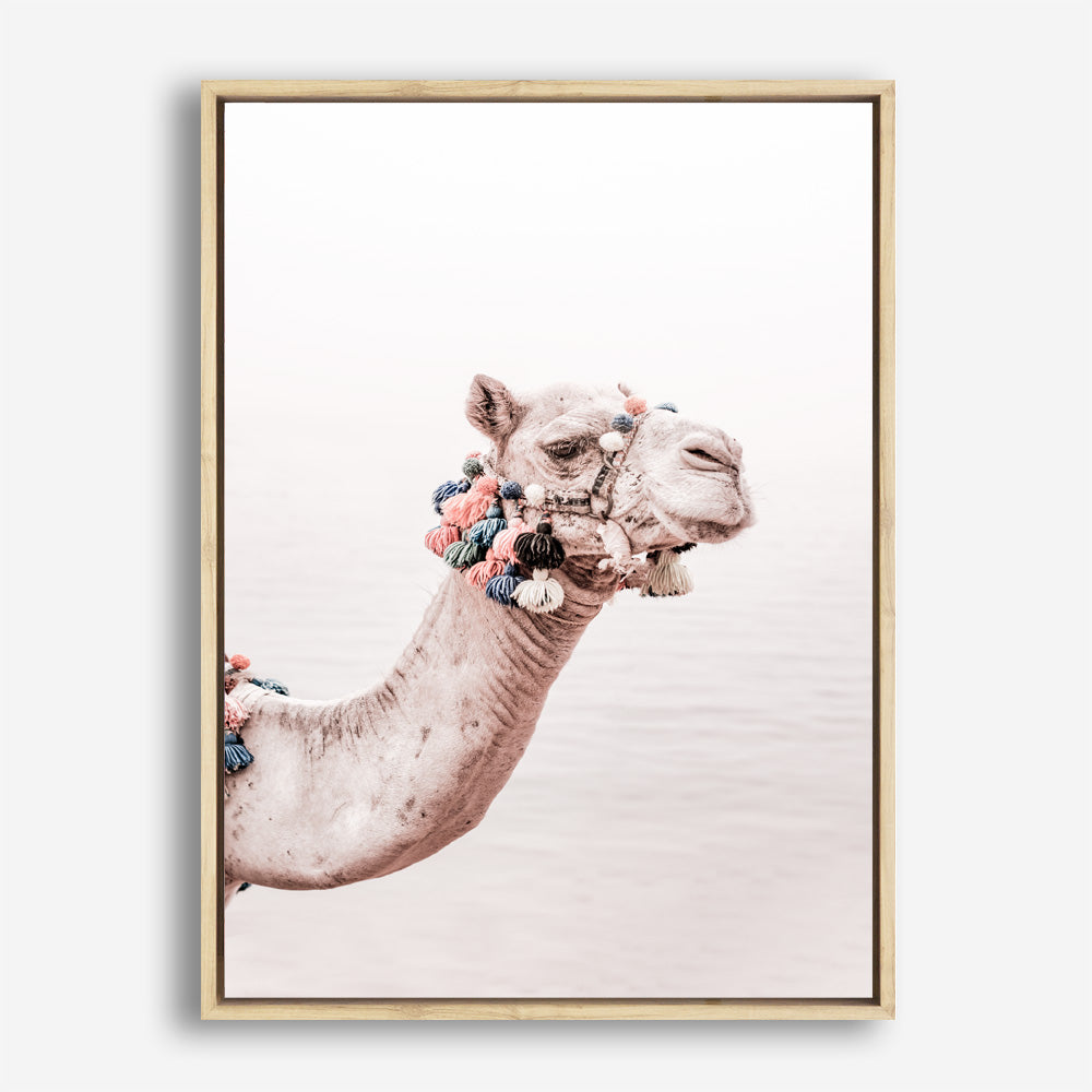 Shop Bedouin Camel II Photo Canvas Print a Moroccan desert boho themed photography framed stretched canvas print from The Print Emporium wall artwork collection - Buy Australian made prints for the home and your interior decor space, TPE-840-CA-35X46-NF
