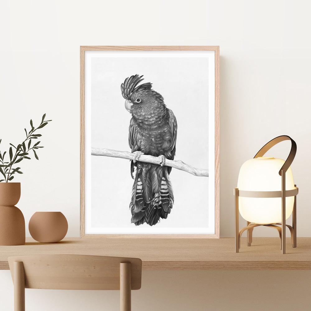 Shop Black Cockatoo Art Print a painted bird themed wall art print from The Print Emporium wall artwork collection - Buy Australian made fine art painting style poster and framed prints for the home and your interior decor room, TPE-004-AP