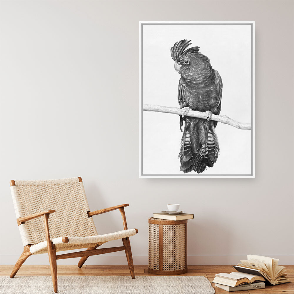 Shop Black Cockatoo Canvas Print a painted bird themed framed canvas wall art print from The Print Emporium artwork collection - Buy Australian made fine art painting style stretched canvas prints for the home and your interior decor space, TPE-004-CA-35X46-NF