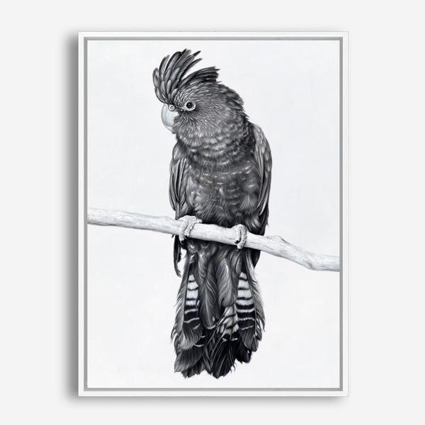 Shop Black Cockatoo Canvas Print a painted bird themed framed canvas wall art print from The Print Emporium artwork collection - Buy Australian made fine art painting style stretched canvas prints for the home and your interior decor space, TPE-004-CA-35X46-NF
