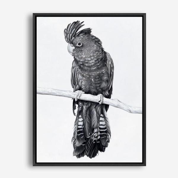 Shop Black Cockatoo Canvas Print a painted bird themed framed canvas wall art print from The Print Emporium artwork collection - Buy Australian made fine art painting style stretched canvas prints for the home and your interior decor space, TPE-004-CA-35X46-NF