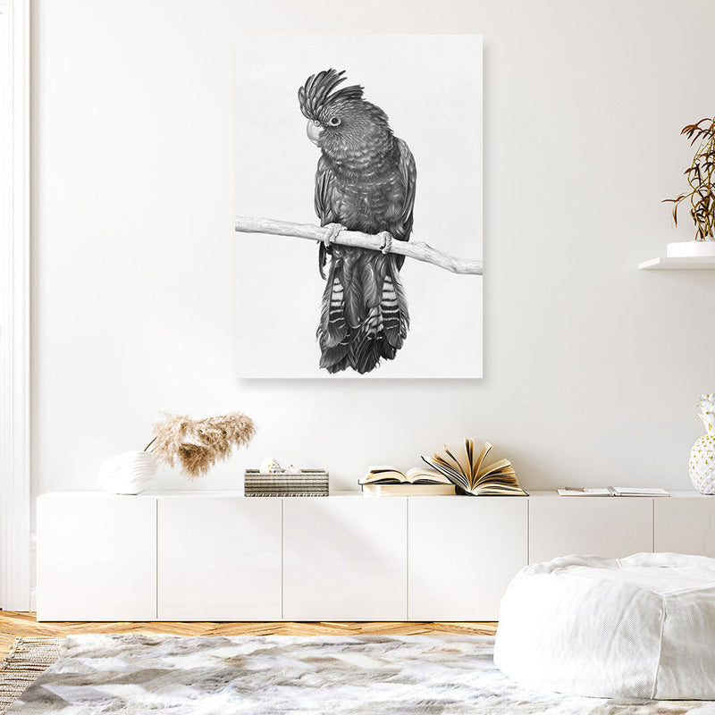 Shop Black Cockatoo Canvas Print a painted bird themed framed canvas wall art print from The Print Emporium artwork collection - Buy Australian made fine art painting style stretched canvas prints for the home and your interior decor space, TPE-004-CA-35X46-NF
