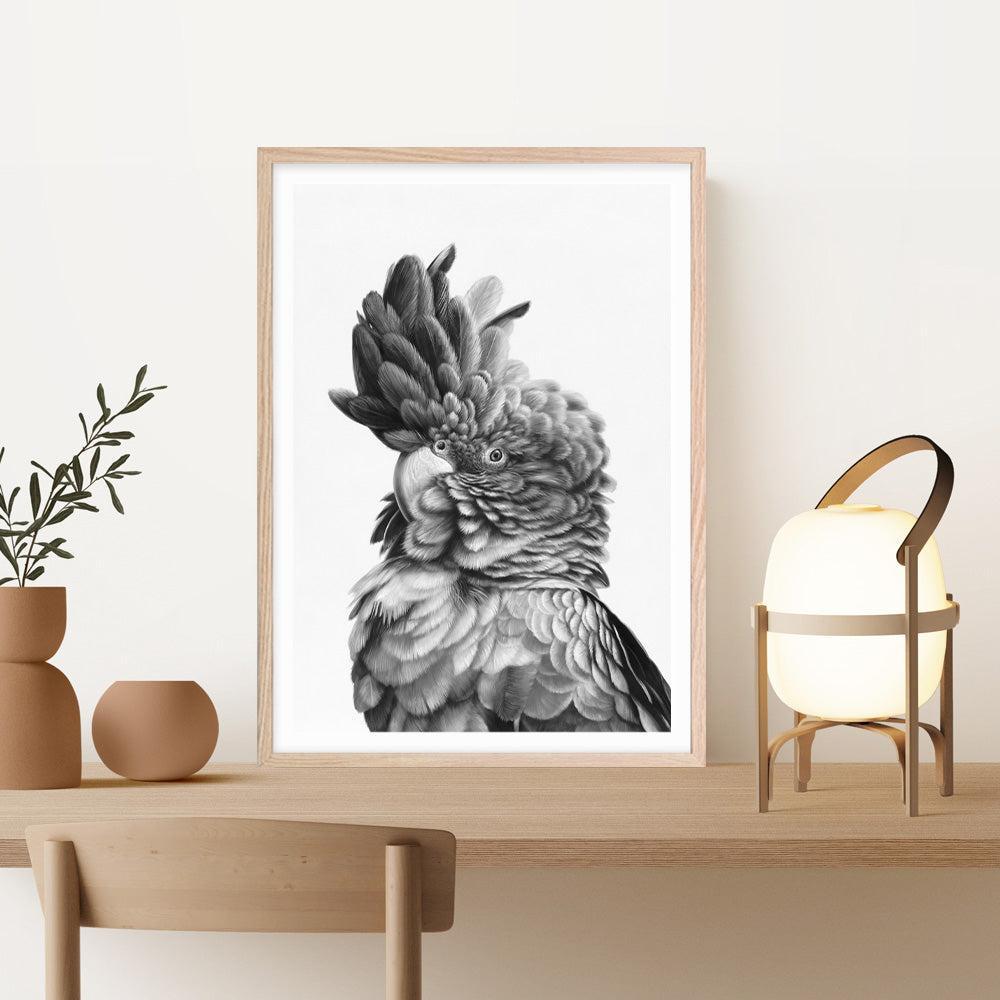 Shop Black Cockatoo Close-Up Art Print a painted bird themed wall art print from The Print Emporium wall artwork collection - Buy Australian made fine art painting style poster and framed prints for the home and your interior decor room, TPE-003-AP