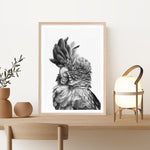 Shop Black Cockatoo Close-Up Art Print a painted bird themed wall art print from The Print Emporium wall artwork collection - Buy Australian made fine art painting style poster and framed prints for the home and your interior decor room, TPE-003-AP