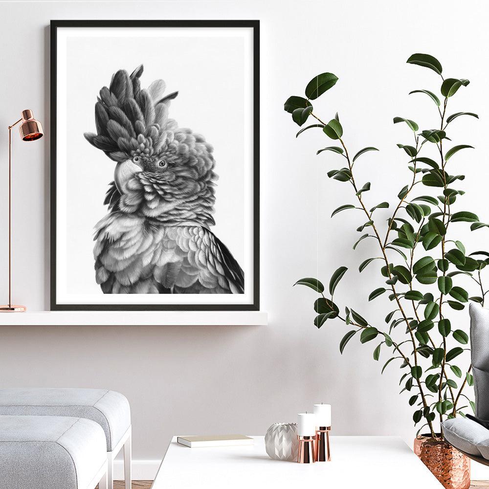 Shop Black Cockatoo Close-Up Art Print a painted bird themed wall art print from The Print Emporium wall artwork collection - Buy Australian made fine art painting style poster and framed prints for the home and your interior decor room, TPE-003-AP