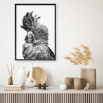 Shop Black Cockatoo Close-Up Art Print a painted bird themed wall art print from The Print Emporium wall artwork collection - Buy Australian made fine art painting style poster and framed prints for the home and your interior decor room, TPE-003-AP