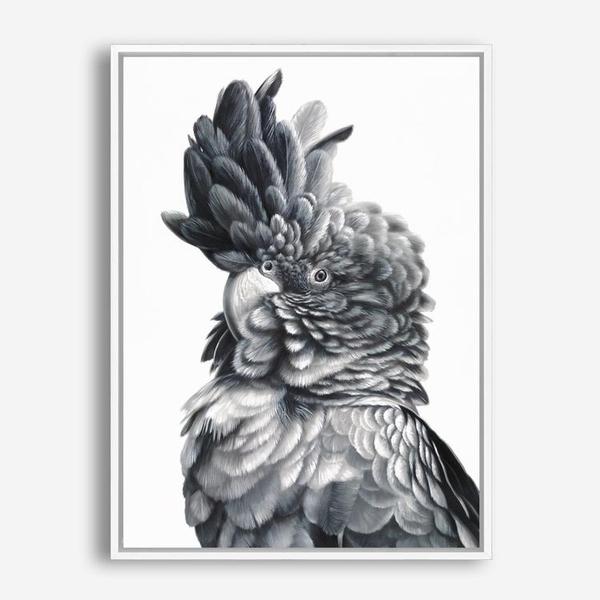 Shop Black Cockatoo Close-Up Canvas Print a painted bird themed framed canvas wall art print from The Print Emporium artwork collection - Buy Australian made fine art painting style stretched canvas prints for the home and your interior decor space, TPE-003-CA-35X46-NF