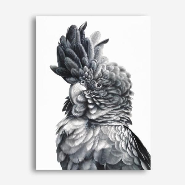 Shop Black Cockatoo Close-Up Canvas Print a painted bird themed framed canvas wall art print from The Print Emporium artwork collection - Buy Australian made fine art painting style stretched canvas prints for the home and your interior decor space, TPE-003-CA-35X46-NF