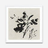 Shop Black Florals II (Square) Art Print a painted abstract themed wall art print from The Print Emporium wall artwork collection - Buy Australian made fine art painting style poster and framed prints for the home and your interior decor room, TPE-PC-EZ945-AP
