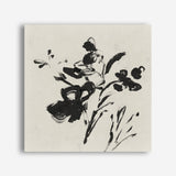 Shop Black Florals II (Square) Canvas Print a painted abstract themed framed canvas wall art print from The Print Emporium artwork collection - Buy Australian made fine art painting style stretched canvas prints for the home and your interior decor space, TPE-PC-EZ945-CA-40X40-NF