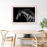 Shop Black Horse Photo Art Print a photography wall art print from The Print Emporium wall artwork collection - Buy Australian made fine art poster and framed prints for the home and your interior decor room, TPE-089-AP