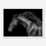 Shop Black Horse Photo Art Print a photography wall art print from The Print Emporium wall artwork collection - Buy Australian made fine art poster and framed prints for the home and your interior decor room, TPE-089-AP