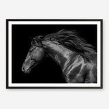 Shop Black Horse Photo Art Print a photography wall art print from The Print Emporium wall artwork collection - Buy Australian made fine art poster and framed prints for the home and your interior decor room, TPE-089-AP
