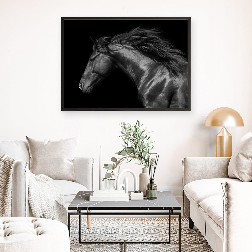Shop Black Horse Photo Art Print a photography wall art print from The Print Emporium wall artwork collection - Buy Australian made fine art poster and framed prints for the home and your interior decor room, TPE-089-AP