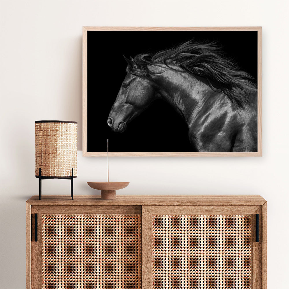 Shop Black Horse Photo Art Print a photography wall art print from The Print Emporium wall artwork collection - Buy Australian made fine art poster and framed prints for the home and your interior decor room, TPE-089-AP