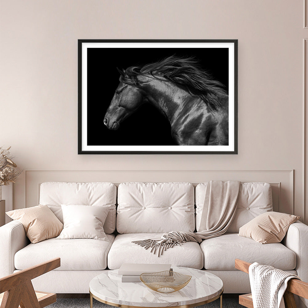 Shop Black Horse Photo Art Print a photography wall art print from The Print Emporium wall artwork collection - Buy Australian made fine art poster and framed prints for the home and your interior decor room, TPE-089-AP