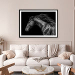 Shop Black Horse Photo Art Print a photography wall art print from The Print Emporium wall artwork collection - Buy Australian made fine art poster and framed prints for the home and your interior decor room, TPE-089-AP