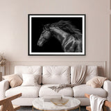 Shop Black Horse Photo Art Print a photography wall art print from The Print Emporium wall artwork collection - Buy Australian made fine art poster and framed prints for the home and your interior decor room, TPE-089-AP