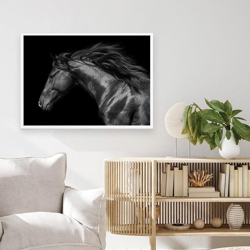 Shop Black Horse Photo Art Print a photography wall art print from The Print Emporium wall artwork collection - Buy Australian made fine art poster and framed prints for the home and your interior decor room, TPE-089-AP